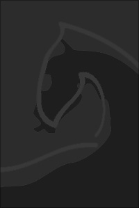 Logo klein für Nachkommen V2b ger DK dunk Kopie